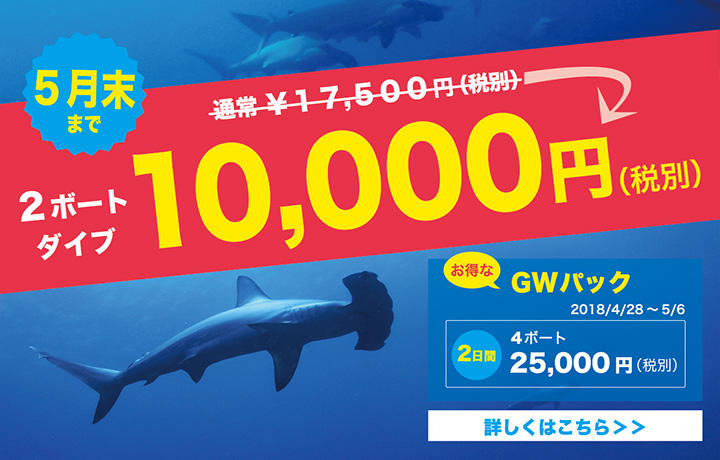 ◆◆◆キャンペーン中の出航予定
