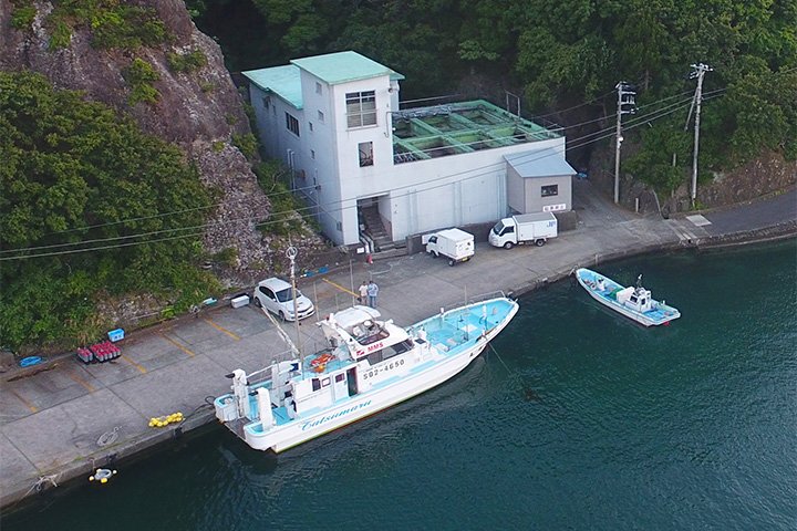 神子元島ダイビング第十一辰丸
