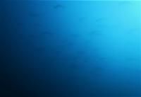 今日の神子元島　＃4航海目のラストに水色アップの青い潮！[1]