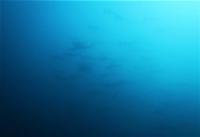 今日の神子元島　＃4航海目のラストに水色アップの青い潮！[4]