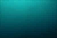 今日の神子元島2ダイブ　＃不安定な水色水温ですが魚影は濃いですよ[2]