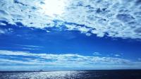青い海！素晴らしい魚影！ハンマー群れ～ギンガメアジ10匹[1]