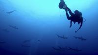 2025.6/1神子元3DIVE[1]