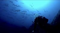 2025.6/5神子元3DIVE[2]