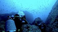 2025.6/7神子元3DIVE[2]