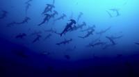 2025.6.19神子元3DIVE[1]