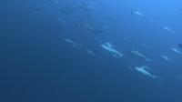 2025.7/19神子元4航海[1]