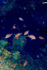 2025.10.29 田子へ遠征[2]