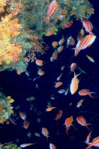 2025.10.29 田子へ遠征[1]