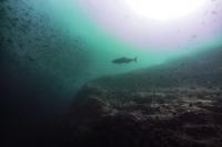 2025.12.2 快晴！凪！ハンマー群れ！神子元3DV[3]