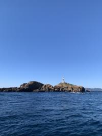 2026.1.1 新年のご挨拶[1]