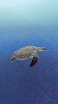 2025.12.12 透視度UP！神子元3DV[4]