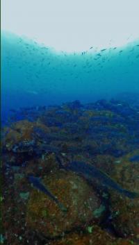 2026.1.28 上げ潮ドリフト＠神子元島[1]