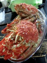 2026年2月22日　神子元島２ダイブ　連休二日目は全国的に季節先取りの暖かい気候[8]