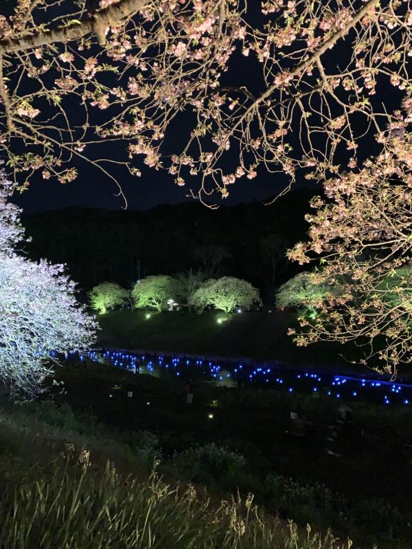 明日から出航予定です！