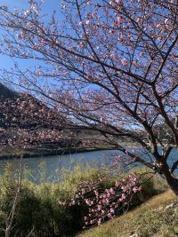 今週末の土日は出航予定です！[1]