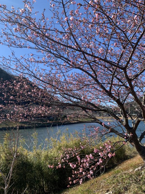 今週末の土日は出航予定です！