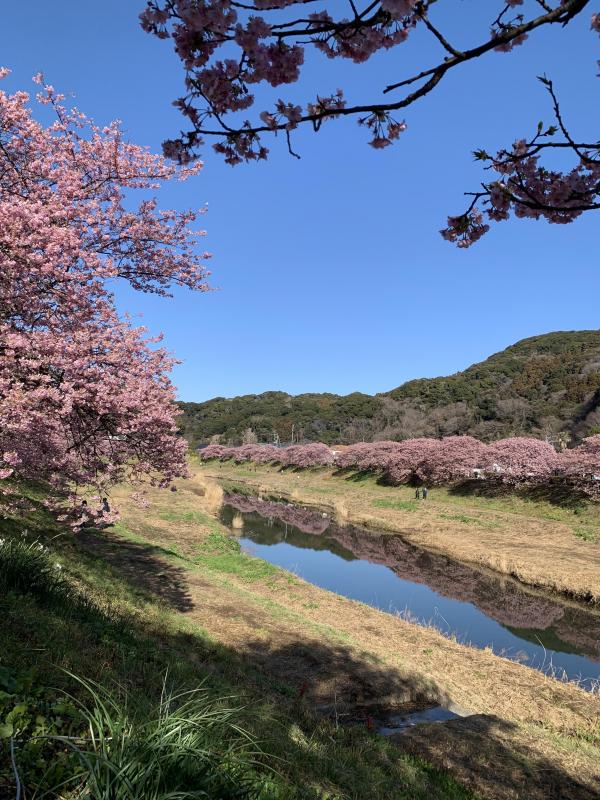 明日から出航予定です！
