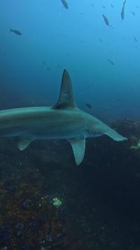 2026年3月22日　3連休最終日も3DVでハンマーGET[1]