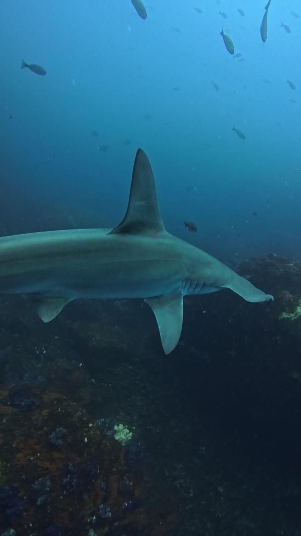 2026年3月22日　3連休最終日も3DVでハンマーGET