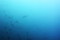 2026年3月22日　3連休最終日も3DVでハンマーGET[5]