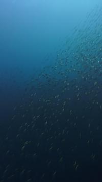 2026年3月22日　3連休最終日も3DVでハンマーGET[2]