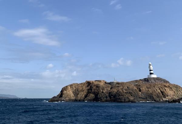 次回出航日のお知らせ