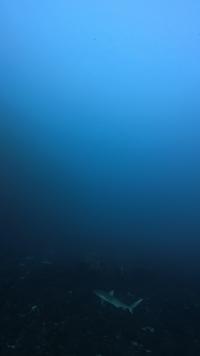 2026年3月22日　3連休最終日も3DVでハンマーGET[4]