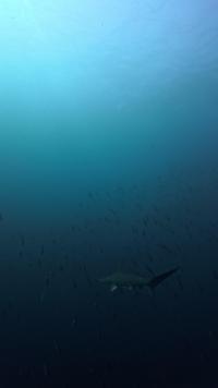 2026年3月22日　3連休最終日も3DVでハンマーGET[3]