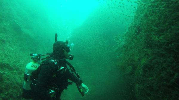 2026年4月22日　雲見3DV