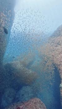 2026年4月27日　雲見3DV透視度UP！[1]