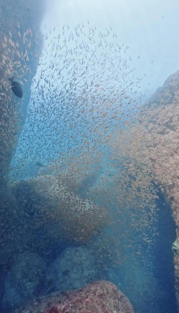 2026年4月27日　雲見3DV透視度UP！