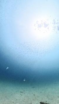 2026年4月28日　川奈に行ってきました！[2]