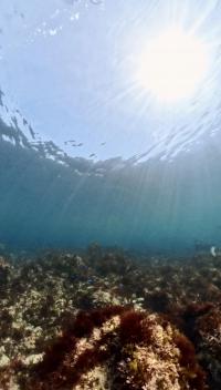 2026年4月28日　川奈に行ってきました！[1]