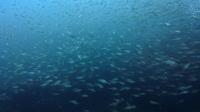 2026年6月20日　満船４航海の本日は手厳しいコンディション[7]