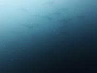 2026年8月18日　熱い日差しが戻り真夏へ逆行、海はホワイトアウト[2]