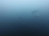 2026年8月18日　熱い日差しが戻り真夏へ逆行、海はホワイトアウト[4]