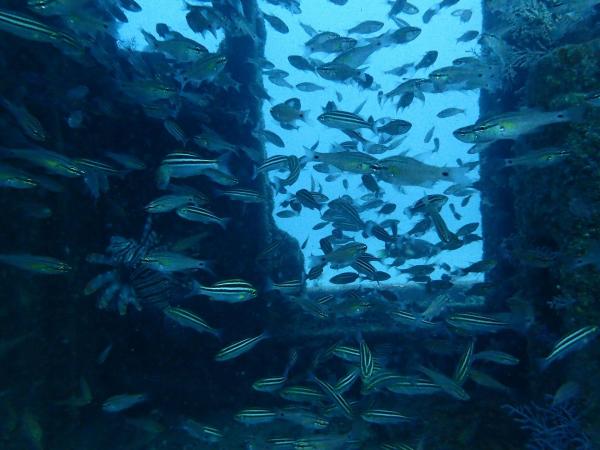 2026年10月31日　青空広がる菖蒲沢遠征