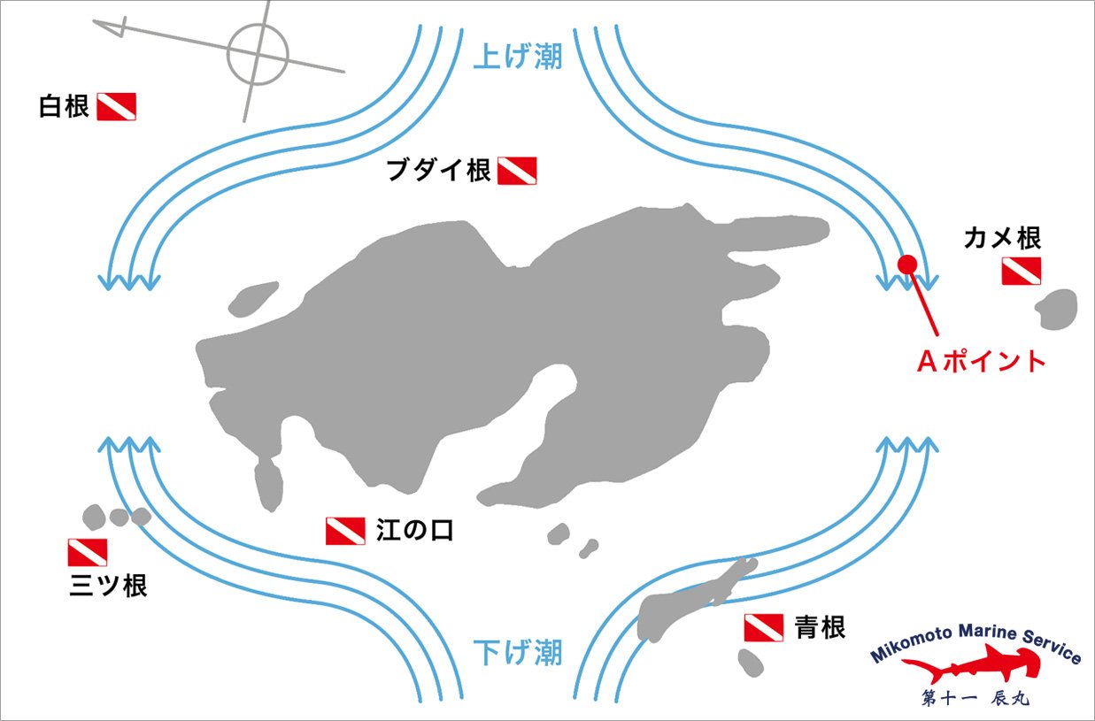 神子元島ダイビングポイントマップ